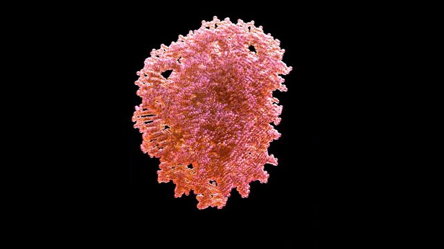 3D structure of cryo-EM medusavirus nucleosome core particle NCP, histone octamer assembly of giant virus, primarily for chromatin evolution and eukaryotic origin studies seamless rotate 3D animation.