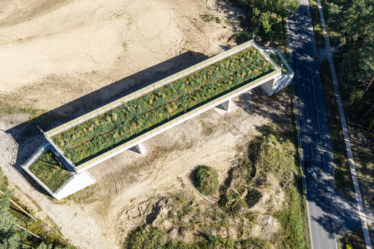 Aerial view of a green bridge wildlife crossing with lush vegetation on top spanning over a road in the forest near Celle, Germany.