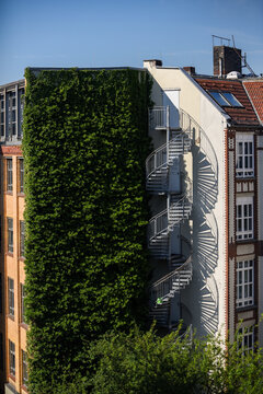 Aerial view of a building facade featuring a metal spiral fire escape staircase and a wall covered in lush green ivy under a clear blue sky in Berlin, Berlin, Germany.