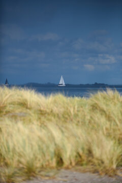 Aerial view of sailboats on the sea seen from behind beach grass at Amager Beachpark in Copenhagen, Denmark.