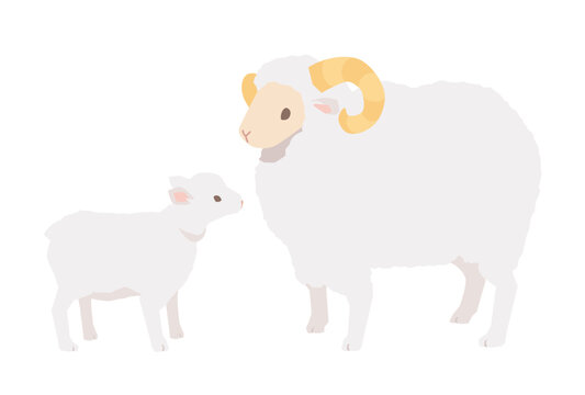 羊の親子のイラスト