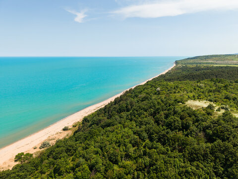 Aerial view of Kara Dere beach featuring a pristine sandy coastline bordered by dense green forests and the turquoise waters of the Black Sea in Byala, Varna, Bulgaria.