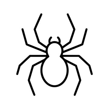 Spider icon flat outline in black