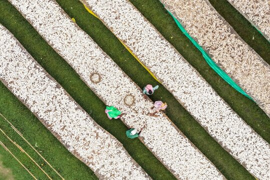 Aerial view of workers drying fish on long mats in Cox's Bazar, Chittagong Division, Bangladesh.