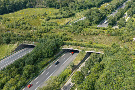 Aerial view of Ecoduct Dwingelderveld crossing over the A28 highway, surrounded by lush green forest and vegetation in Spier, Drenthe, Netherlands.