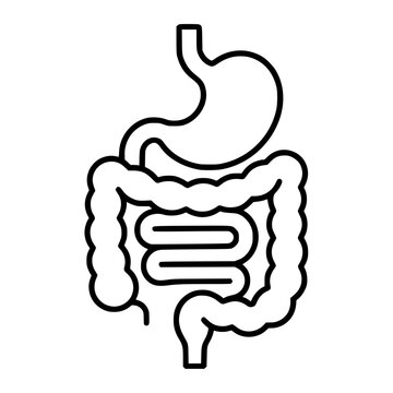 Digestion icon flat outline in black