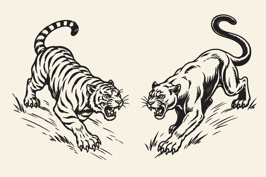 Hand Drawn Tiger and Panther Doodle Vector Illustration