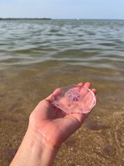 A vertical close-up photograph of a person's hand holding a small, translucent pinkish jellyfish with a distinctive purple center, set against the backdrop of a calm sea and horizon. © Mena