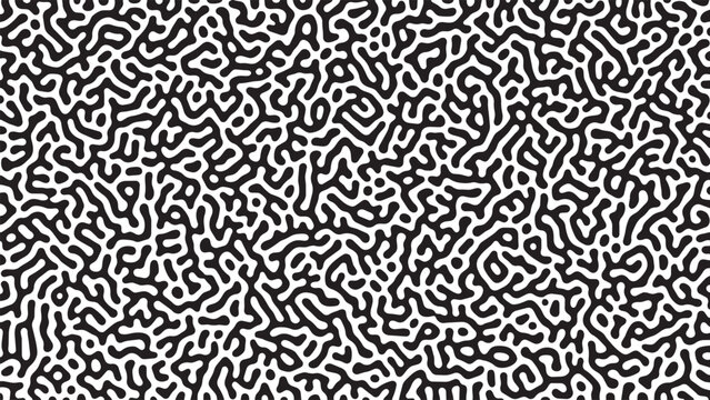 black white organic maze pattern irregular squiggle shapes monochrome geometric vector background