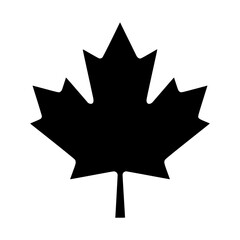 Obraz premium Autumn leaf canadian icon flat outline in black