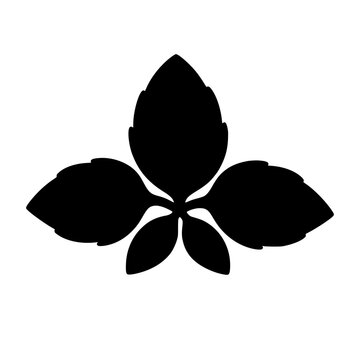 Basil icon flat outline in black
