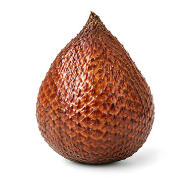 Single salak snake fruit with brown scaly skin stands on white surface for culinary presentation.
