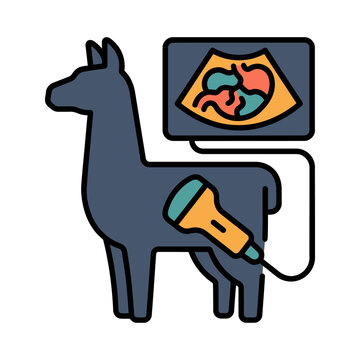 Llama Camelid Stomach Digestion Ultrasound Icon for Exotic Vet
