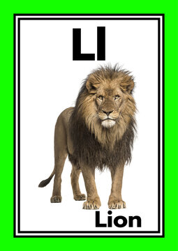 Vocabulary words Create a set of 26 cute English vocabulary flashcards for kindergarten children, from A to Z.
