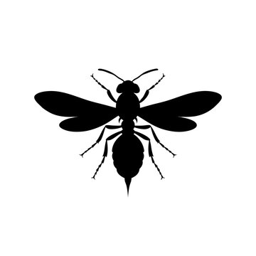 Minimalist wasp silhouette vector, black hornet insect icon, stinging yellowjacket graphic for pest control branding