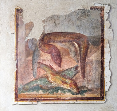 ancient Pompeian fresco of fish caught with moray eel and fish, Pompeii 79 AD Italy