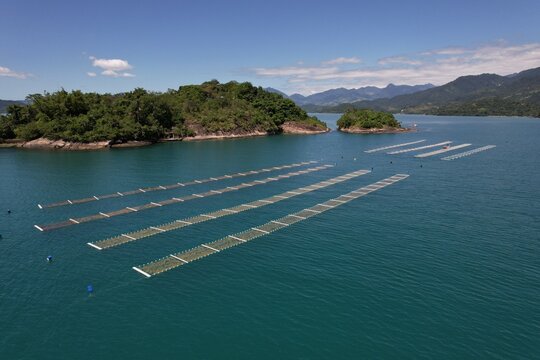 Aerial view of a seaweed plantation in the calm turquoise waters near lush green islands in Paraty, Rio de Janeiro, Brazil.