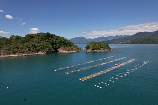 Aerial view of a seaweed plantation in the calm turquoise waters near lush green islands, with a small boat moored among the cultivation lines in Paraty, Rio de Janeiro, Brazil.