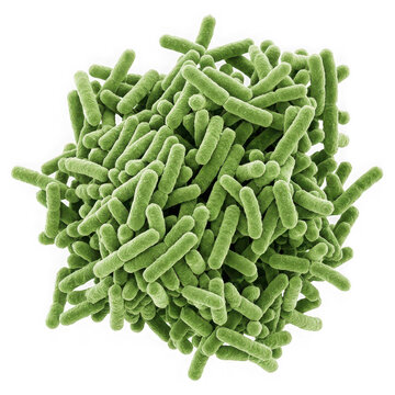 Microscopic view of a cluster of green rodshaped bacteria cells isolated on transparent background