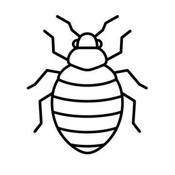 Bedbug icon flat outline in black