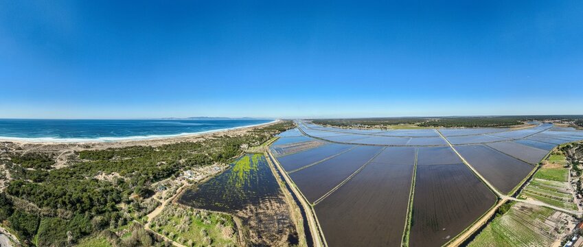 Aerial view of rice fields stretching along the coastline with lush green vegetation and the Atlantic Ocean in the background in Comporta, Setubal, Portugal.