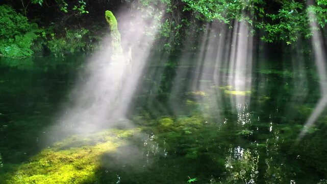 池山水源の光芒　阿蘇