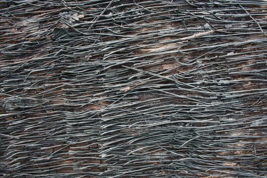 burnt, charred, palm tree, toddy palm, sugar palm, bark, fiber, fibrous, trunk, texture, background, abstract, black, ash, fire damage, wildfire, ash pattern, burnt wood, rough, natural texture, close