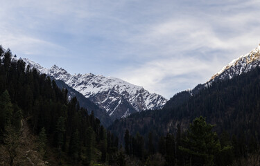 Obraz premium High Altitude Himalayan Landscape with Snow Capped Mountain and Forest