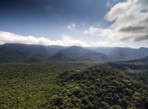 Aerial View of Dense Tropical Rainforest and Mountain Range