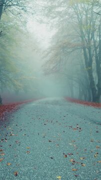 Mountain Road in Autumn Among the Mystery of Thick Fog Get Lost Towards Infinity