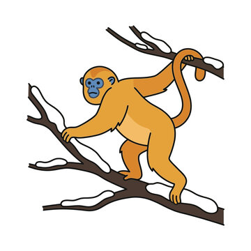 Golden snub nosed monkey climbing on a snow covered tree branch illustration