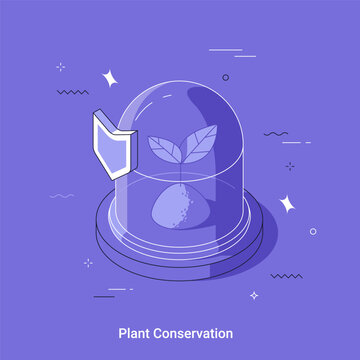 Isometric vector illustration of a young plant sprout inside a glass dome protected by a shield. Ecological conservation concept representing environmental sustainability and nature protection.