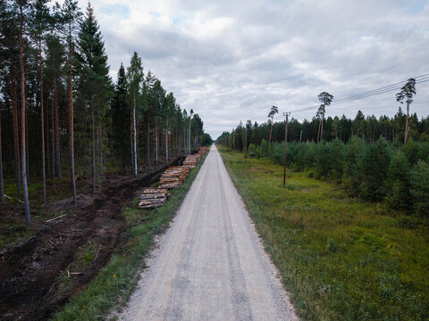 Aerial view of a straight gravel road cutting through a dense pine forest with stacks of timber logs along the roadside under a cloudy sky, Ance parish, Ventspils Municipality, Latvia.