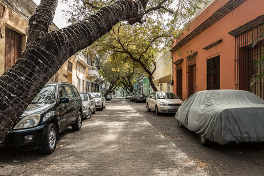 Charming Cobblestone Street with Historic Architecture and Trees