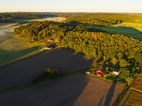 Aerial view of cultivated fields, dense forest, and traditional farmhouses in the rural landscape during golden hour in Hallesaker, Halland County, Sweden.