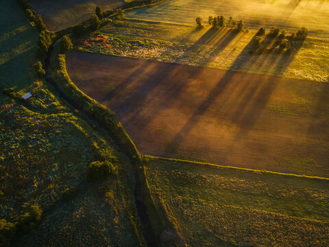 Aerial view of agricultural fields at sunrise with long shadows cast by trees across the landscape in Hallesaker, Halland County, Sweden.