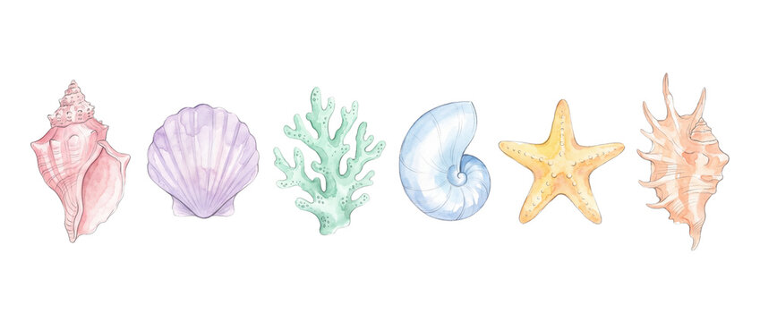 Watercolor seashell coral starfish clipart set isolated on black background, hand painted pastel ocean marine shell collection, aquatic sea life elements for summer design project, beach decor print.