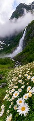 Fototapeta premium Colorful daisy meadow with a waterfall and mountains in background