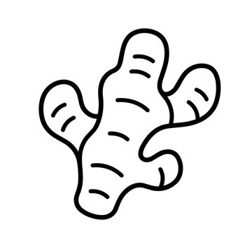 Ginger icon, black glyph vector symbol for web and app interface design