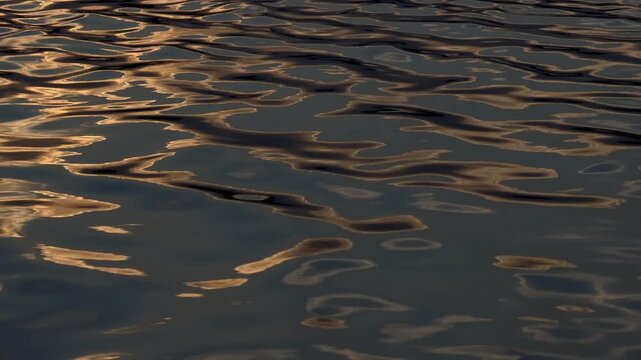 water reflection in the water