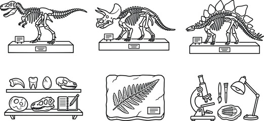 Dinosaur skeleton museum exhibits paleontology lab icons tyrannosaurus triceratops stegosaurus fern fossil microscope vector line art. © Md. Mozammel Hoq