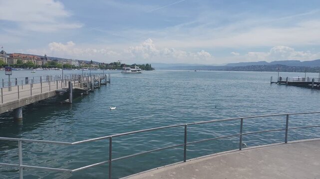 White Swans on Water lake waves in Zurich Switzerland. City embankment