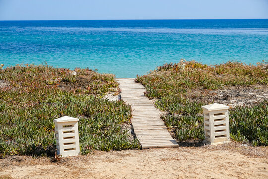 A peaceful wooden boardwalk path framed by coastal succulent plants leading toward the beautiful turquoise Mediterranean Sea in Kelibia, Tunisia.