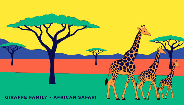 Very beautiful colorful realistic vector of giraffe family walking across African savanna with acacia trees, distant hills and open grassland, GIRAFFE FAMILY &bull; AFRICAN SAFARI, solid colors, no gradien