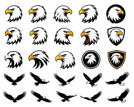 Eagle head logos and flying bird silhouettes set
