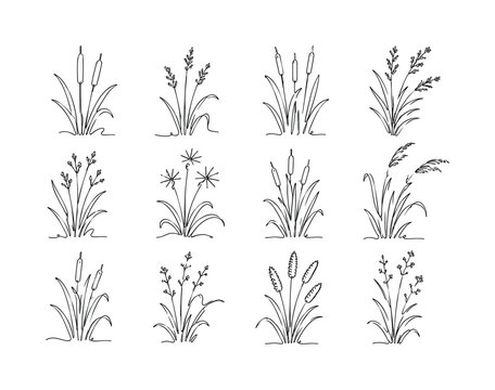 Tall Reed Plants, one-line drawing set of 12 continuous single-line botanical icons featuring cattails, bulrushes, sedges, marsh grasses and slender wetland stems, arranged in a 4x3 grid; pure