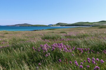 Obraz premium Colorful orchid meadow with a view of the ocean