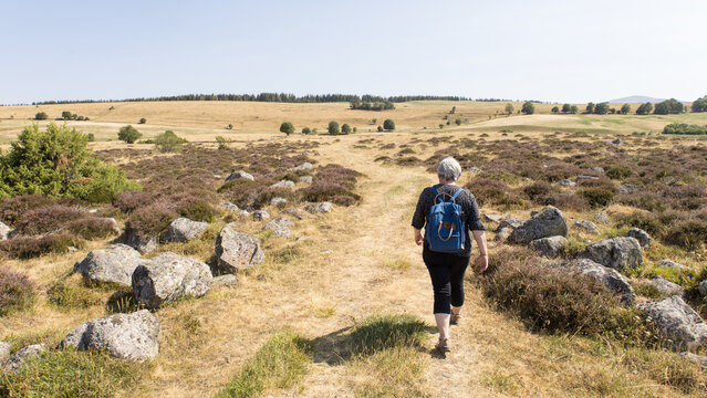 femme avec sac &agrave; dos en train de randonner sur les estives sauvages du plateau du C&eacute;zallier, dans le d&eacute;partement du Cantal en &eacute;t&eacute;