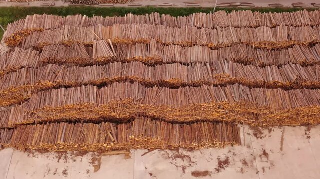 Aerial view of large stacks of timber logs at an industrial log yard