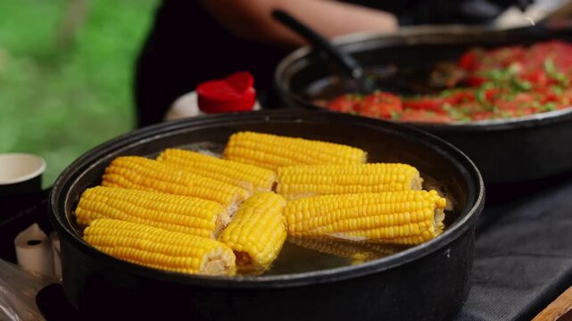 Corn cobs boiling in pot with bubbling water. Fresh yellow corn cooking in pan on stove. Healthy vegetarian food preparation and organic vegetable cooking concept.